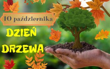 drzewo